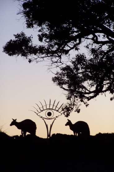 Inspiring Views B&B Wodonga Exterior foto