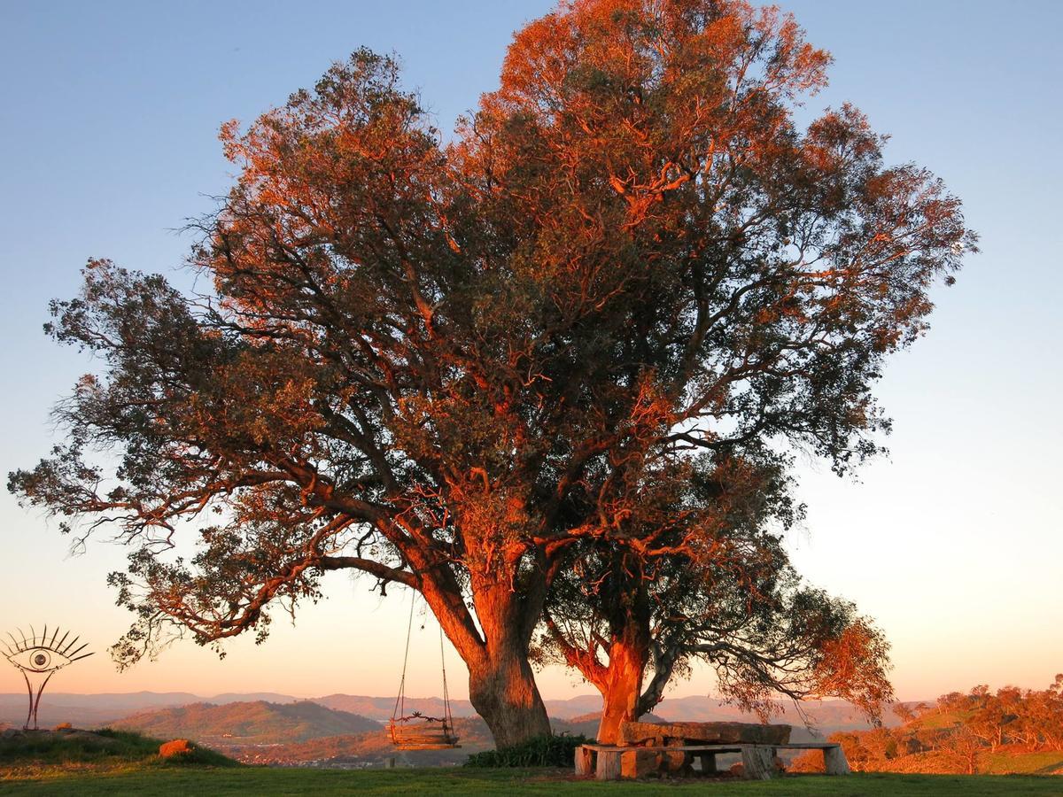 Inspiring Views B&B Wodonga Exterior foto
